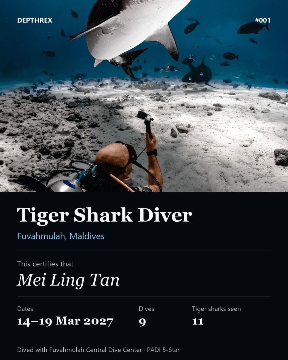 Sample Tiger Shark certificate