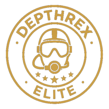 Elite patch